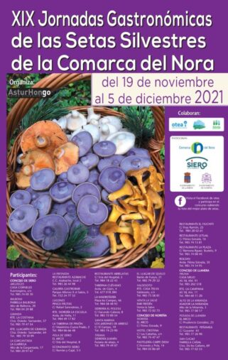 Jornadas Gastronómicas Setas Silvestres Comarca del Nora2021 Jornadas Gastronómicas Setas Silvestres Comarca del Nora2021