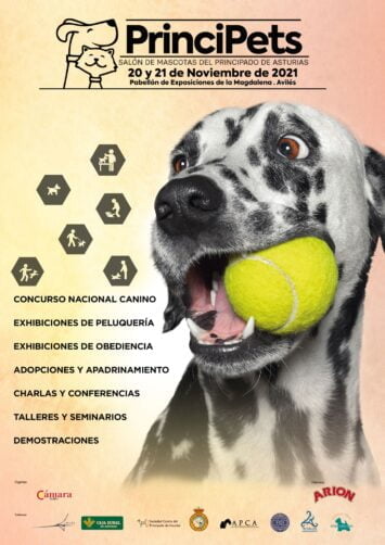 principets 2021 principets 2021