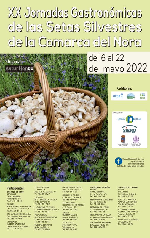 setas silvestres comarca del nora 2022 1